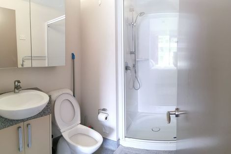 Photo of property in Dual Apartments, 108/142u Vivian Street, Te Aro, Wellington, 6011