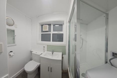 Photo of property in 99 Coromandel Street, Newtown, Wellington, 6021