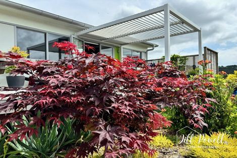 Photo of property in 1 Manaaki Circle, Paparoa, 0571