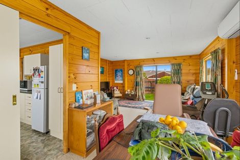 Photo of property in 57 Tiro Tiro Road, Levin, 5510