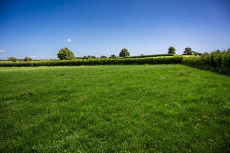 Photo of property in 319 Pirongia Road, Te Awamutu, 3876