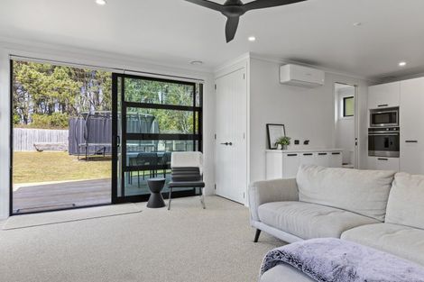 Photo of property in 207 Parekaawa Drive, Motuoapa, 3382