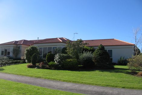 Photo of property in 21 Madison Avenue, Milson, Palmerston North, 4414