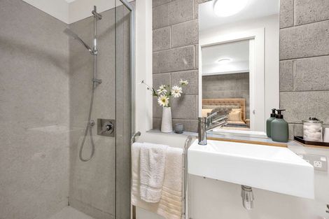 Photo of property in 3uj Papawai Terrace, Mount Cook, Wellington, 6021