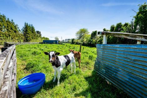 Photo of property in 1233 Egmont Road, Egmont Village, New Plymouth, 4372