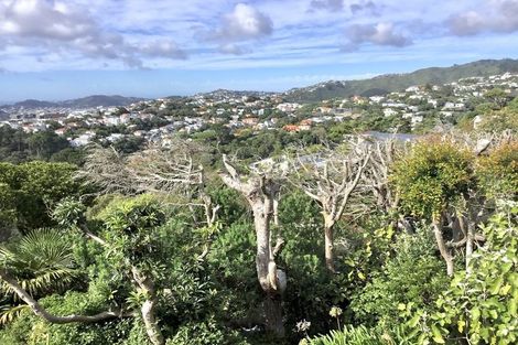 Photo of property in 61 Orangi Kaupapa Road, Northland, Wellington, 6012