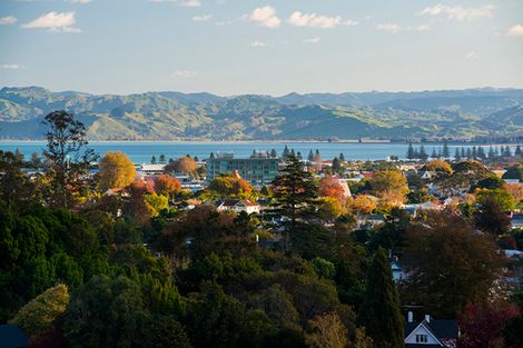 Photo of property in 71 Seddon Crescent, Whataupoko, Gisborne, 4010