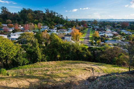 Photo of property in 71 Seddon Crescent, Whataupoko, Gisborne, 4010