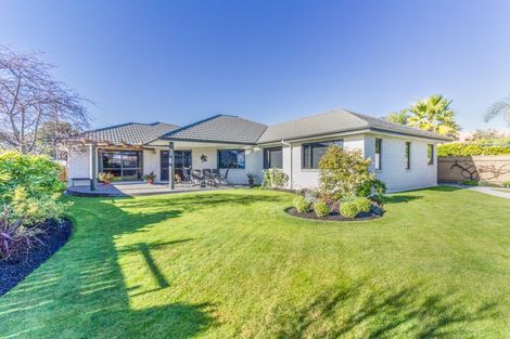 Photo of property in 19 Palmbrook Avenue, Havelock North, 4130