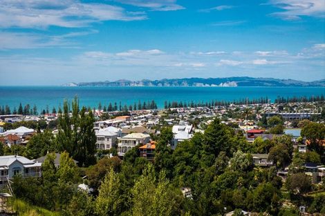Photo of property in 54 Napier Terrace, Hospital Hill, Napier, 4110
