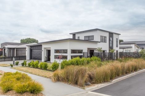 Photo of property in 48 Lulu Avenue, Chartwell, Hamilton, 3210