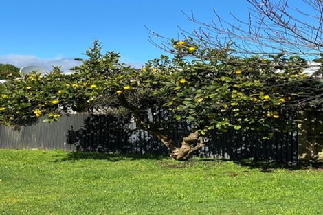 Photo of property in 37 Lupin Road, Otaki, 5512