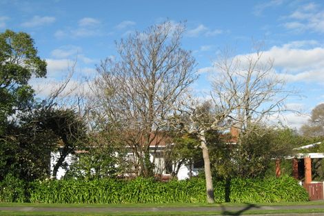 Photo of property in 123 Tutaenui Road, Marton, 4710