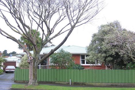 Photo of property in 8 Conway Place, Terrace End, Palmerston North, 4410