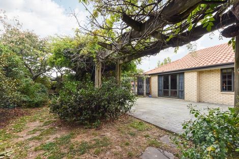 Photo of property in 11 Templemore Drive, Richmond, 7020