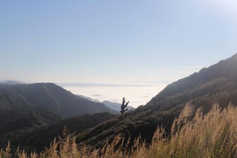 Photo of property in 2a Hospital Street, Dannevirke, 4930