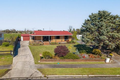 Photo of property in 8 Cynthia Crescent, Te Aroha, 3320