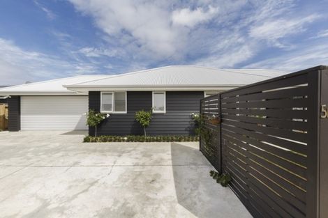 Photo of property in 5b Sandilands Street, Feilding, 4702