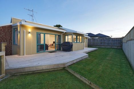 Photo of property in 167b Clarkin Road, Fairfield, Hamilton, 3214