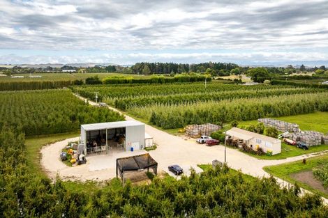 Photo of property in 5 Feltwell Place, Mangere Bridge, Auckland, 2022