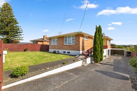 Photo of property in 133 Russell Road, Huntly, 3700