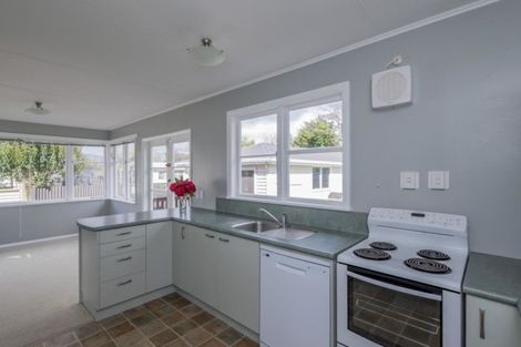 Photo of property in 51 Graham Street, Levin, 5510