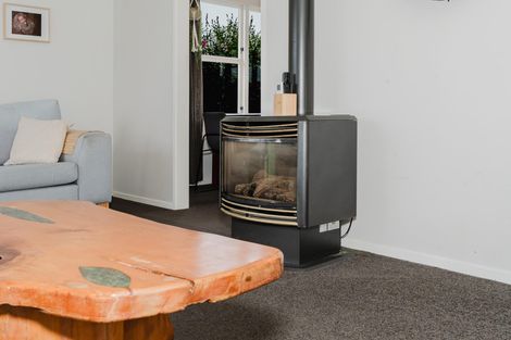 Photo of property in 463 Kahikatea Drive, Dinsdale, Hamilton, 3204