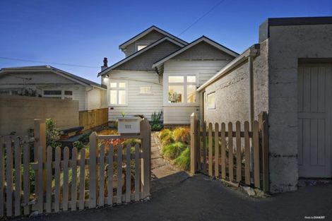 Photo of property in 111 Daniell Street, Newtown, Wellington, 6021