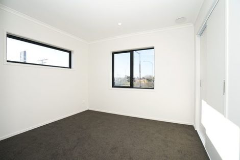 Photo of property in 161 Ohaupo Road, Te Awamutu, 3800