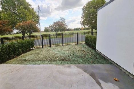 Photo of property in 7 Ruge Court, Cambridge, 3434