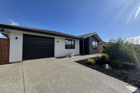 Photo of property in 24 Chertsey Street, Richmond, 7020