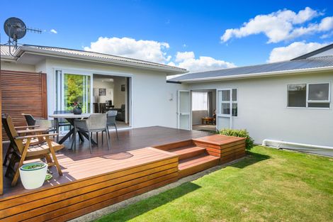 Photo of property in 138 Limbrick Street, Terrace End, Palmerston North, 4410