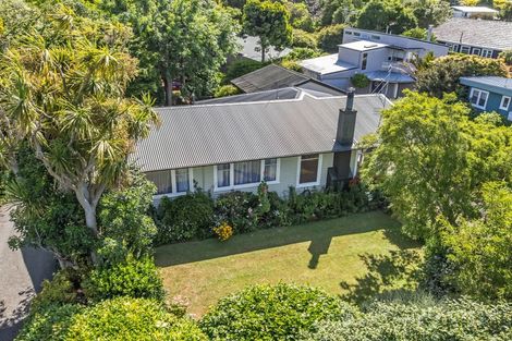 Photo of property in 20 Collingwood Street, Hokowhitu, Palmerston North, 4410