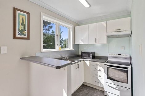 Photo of property in 43 Rakau Road, Hataitai, Wellington, 6021