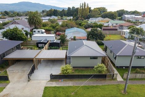 Photo of property in 15 Hall Street, Woodville, 4920