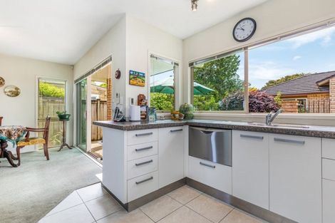 Photo of property in 2b Bledisloe Court, Pukekohe, 2120
