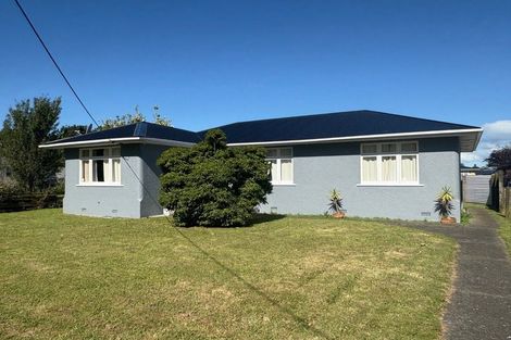 Photo of property in 32 Park Street, Foxton, 4814