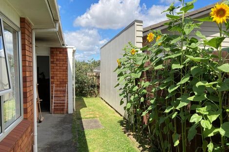 Photo of property in 1/203 Galloway Street, Hamilton East, Hamilton, 3216