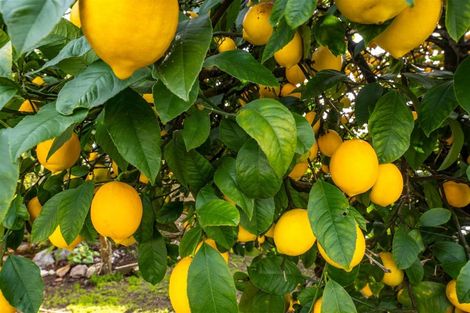 Photo of property in 52 Polstead Road, Stoke, Nelson, 7011