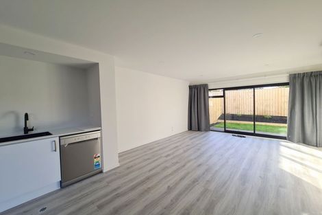 Photo of property in 39b York Street, Waltham, Christchurch, 8023