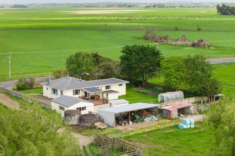 Photo of property in 1331 Rongotea Road, Kairanga, Palmerston North, 4475