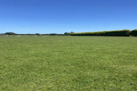 Photo of property in 38 Wills Road, West Plains, Invercargill, 9874