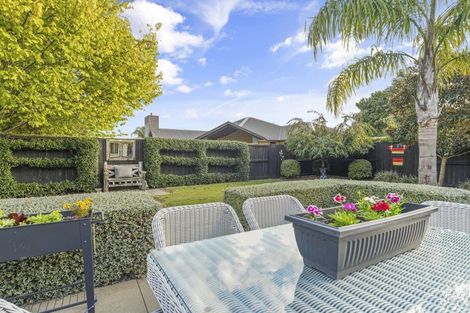 Photo of property in 15 Honiss Place, Cambridge, 3434