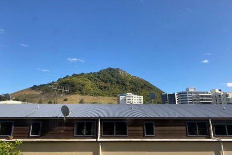 Photo of property in 40 Maunganui Road, Mount Maunganui, 3116
