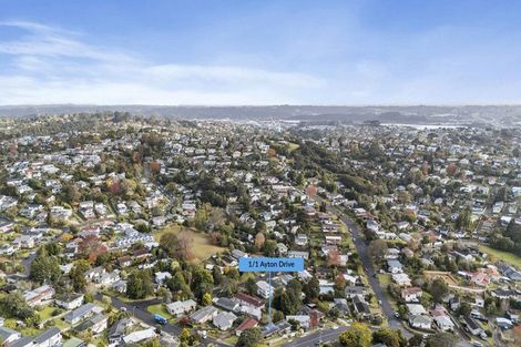 Photo of property in 1/6 Ellice Road, Totara Vale, Auckland, 0629