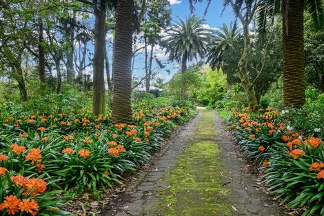 Photo of property in 72 Avenue North Road, Levin, 5510