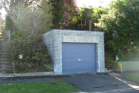 Photo of property in 41 Greenhill Avenue, Wakari, Dunedin, 9010