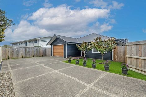 Photo of property in 14a Roy Street, Palmerston North, 4410