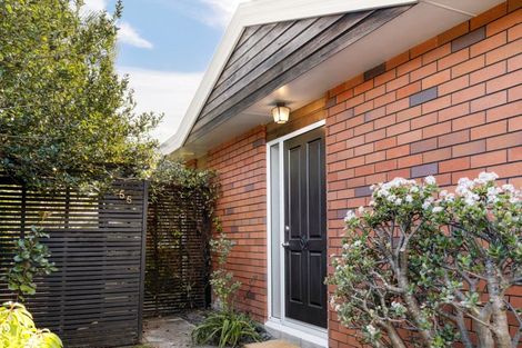 Photo of property in 55 Bayfair Drive, Mount Maunganui, 3116