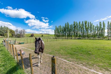 Photo of property in 471 Porangahau Road, Waipukurau, 4282